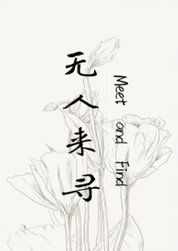 无人来陪我过冬dj下载